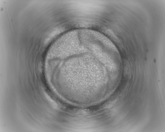 X0000088660683200706152033