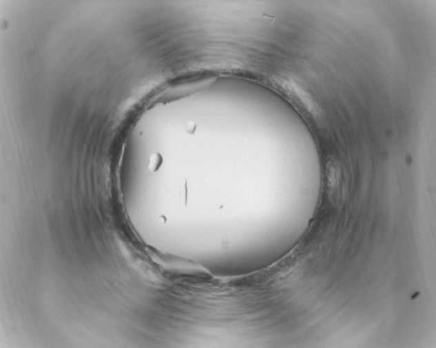 X0000088660684200706152033