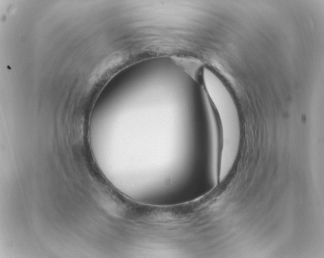 X0000088660685200706152033