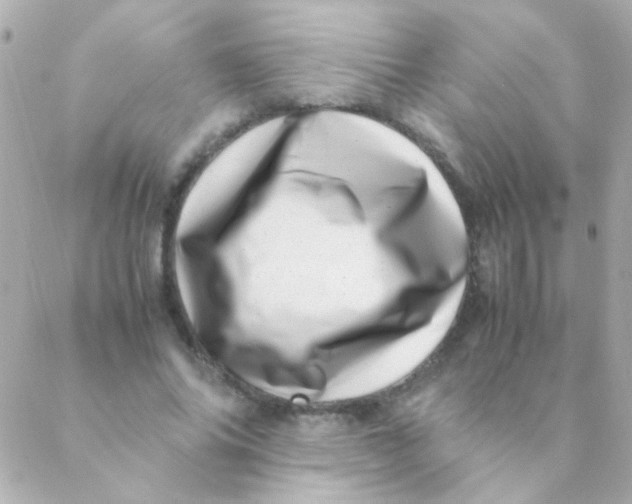 X0000088660686200706152033
