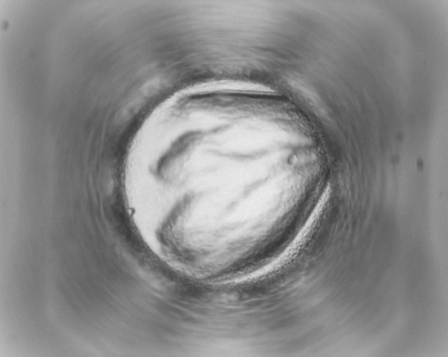 X0000088660687200706152033