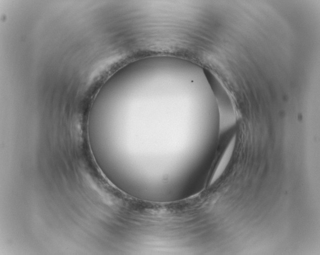 X0000088660688200706152033