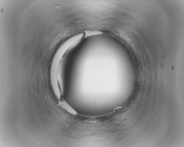 X0000088660689200706152033