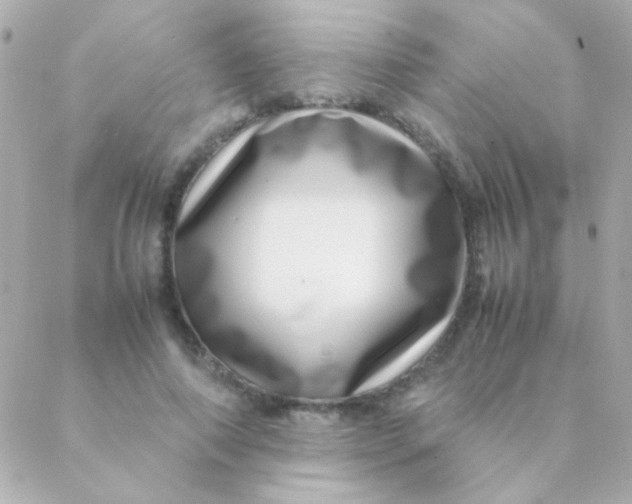 X0000088660690200706152033