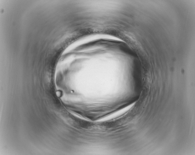 X0000088660691200706152033