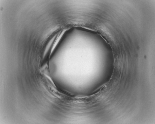 X0000088660692200706152033