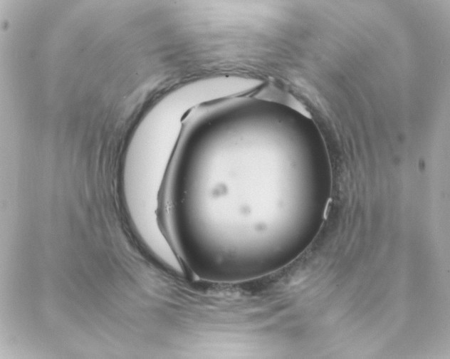 X0000088660693200706152033