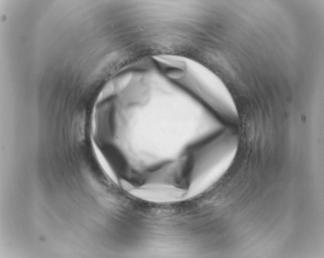 X0000088660694200706152033