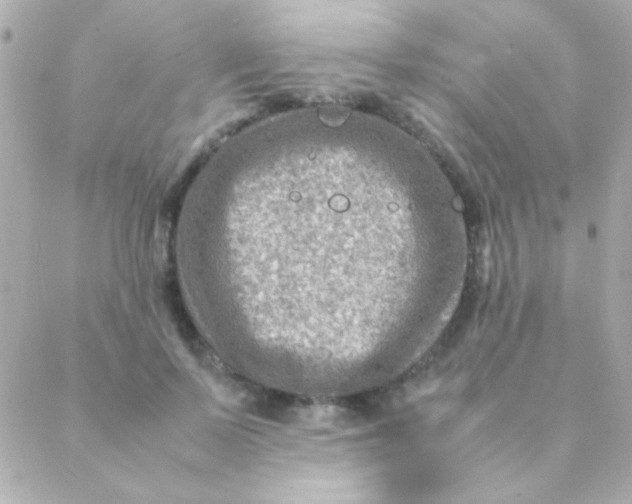 X0000088660695200706152033