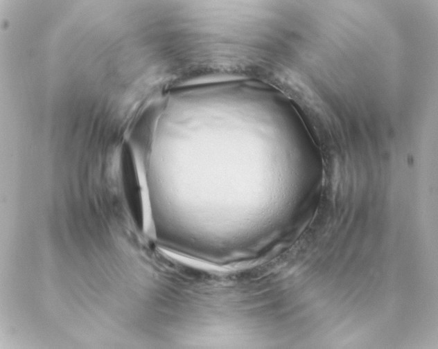 X0000088660696200706152033