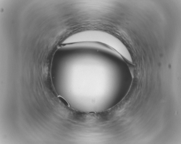 X0000088660697200706152033