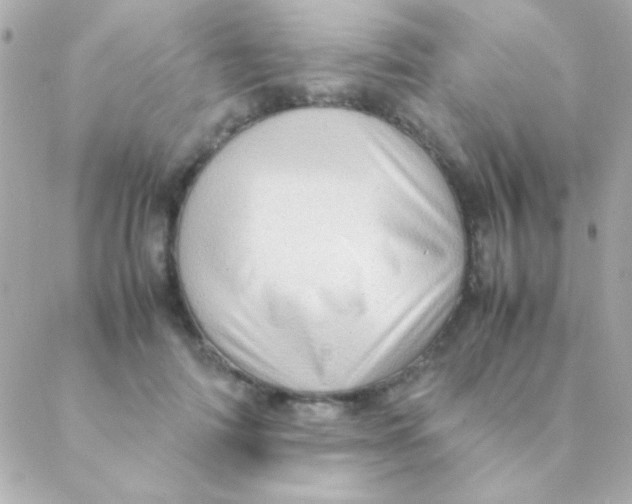 X0000088660698200706152033