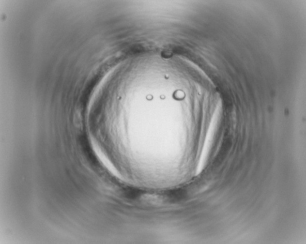 X0000088660699200706152033