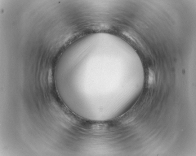 X0000088660700200706152033