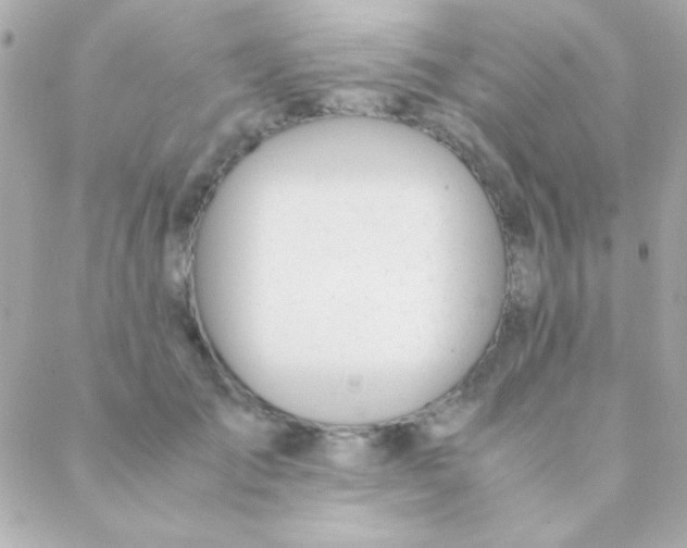 X0000088660701200706152033