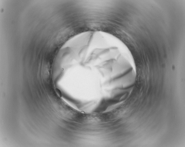 X0000088660702200706152033