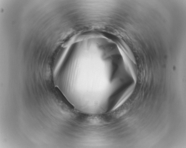 X0000088660704200706152033