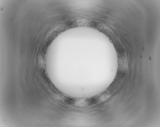 X0000088660705200706152033