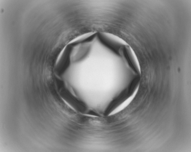 X0000088660706200706152033