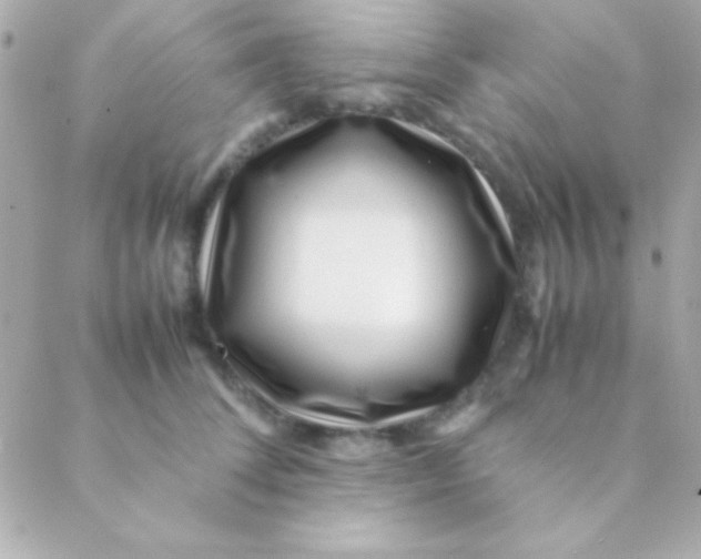 X0000088660708200706152033