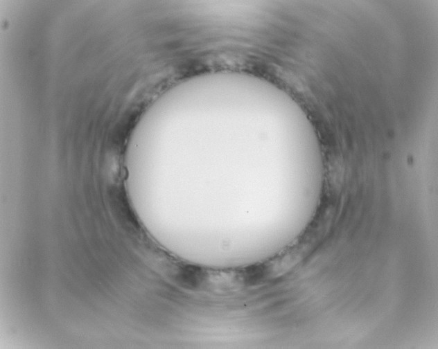 X0000088660709200706152032