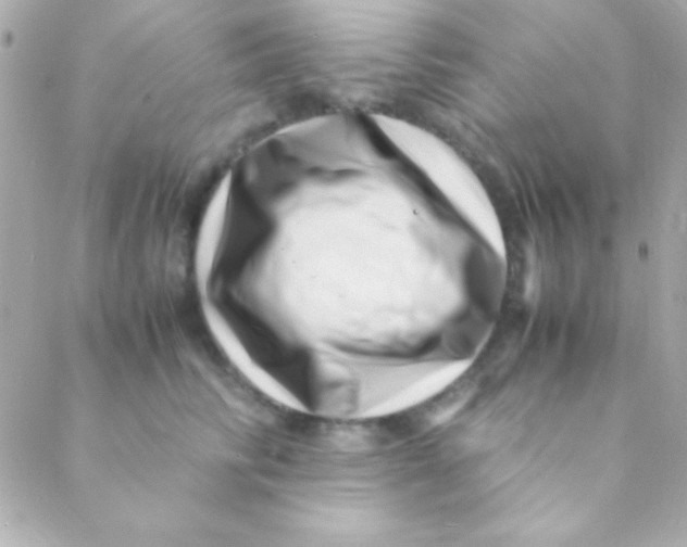 X0000088660710200706152032