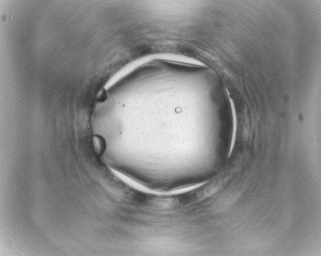 X0000088660711200706152032