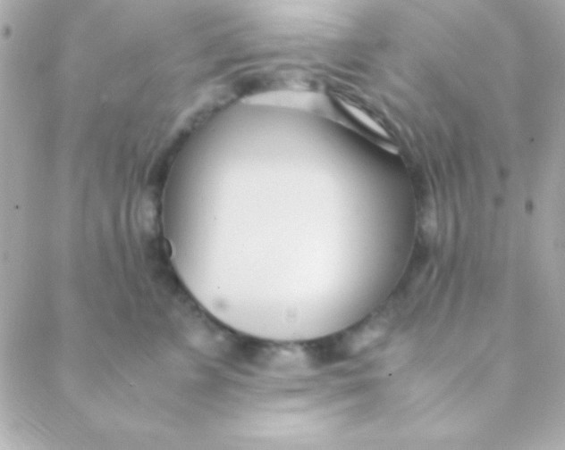 X0000088660715200706152032