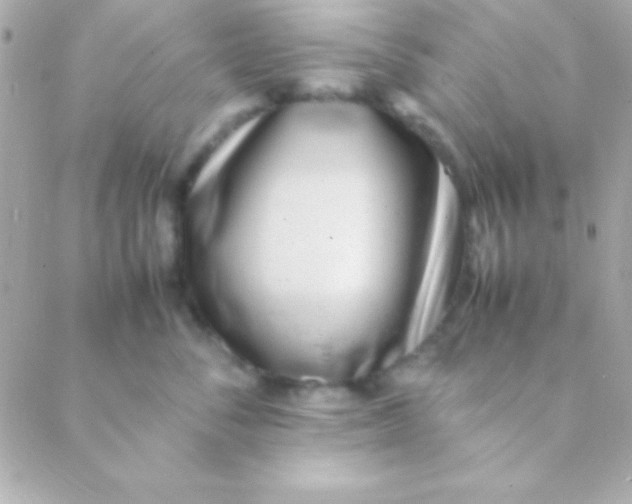 X0000088660716200706152032