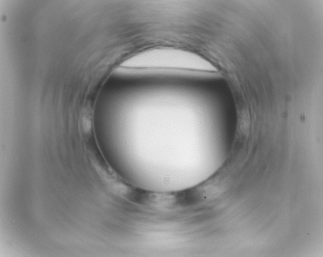 X0000088660719200706152032