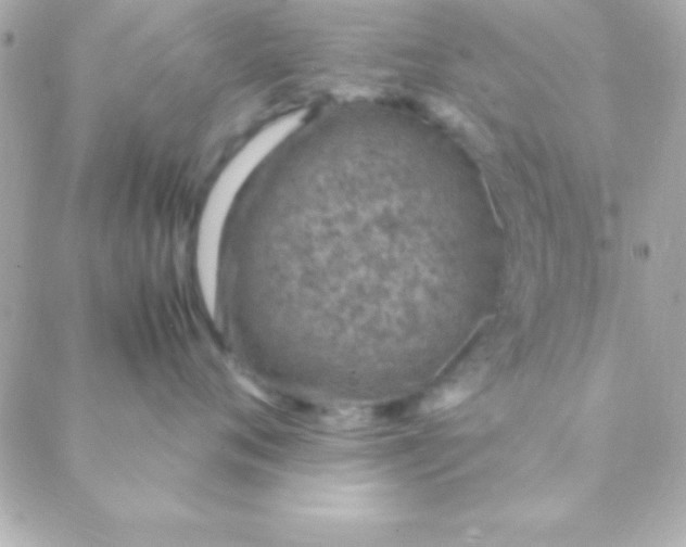 X0000088660720200706152032