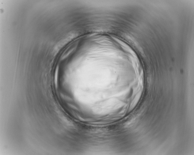 X0000088660721200706152032
