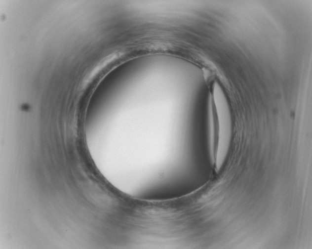 X0000088660722200706152032