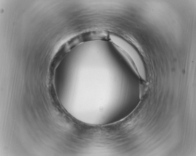 X0000088660724200706152032