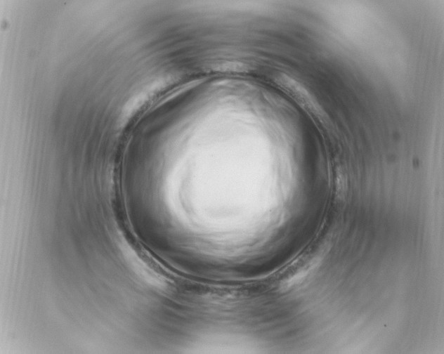 X0000088660725200706152032