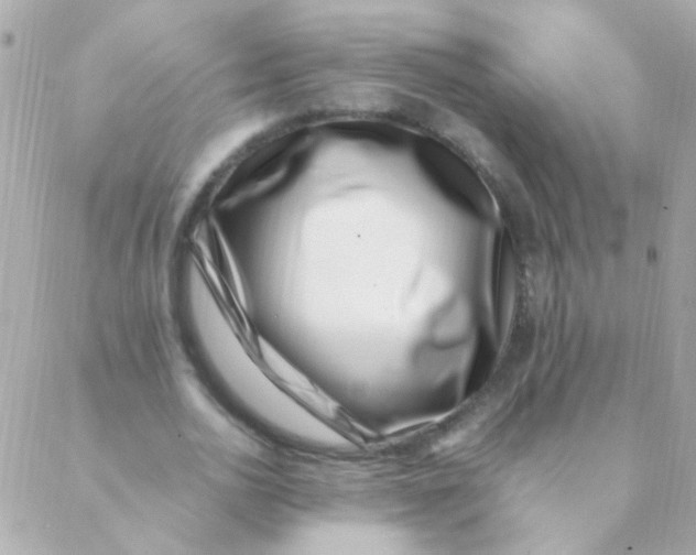 X0000088660726200706152032