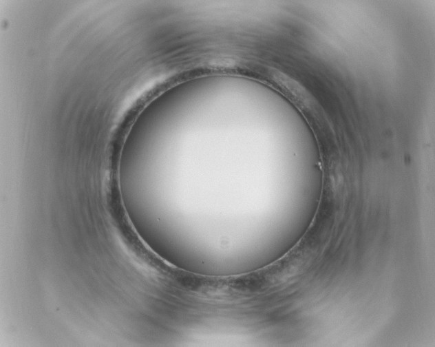 X0000088660728200706152032