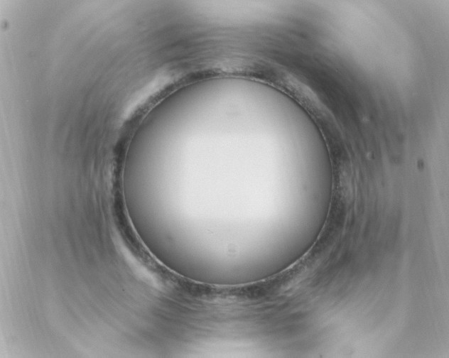 X0000088660730200706152032