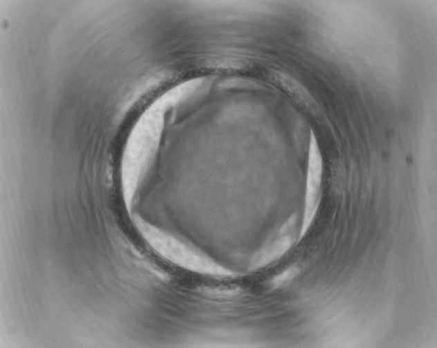 X0000088660731200706152032