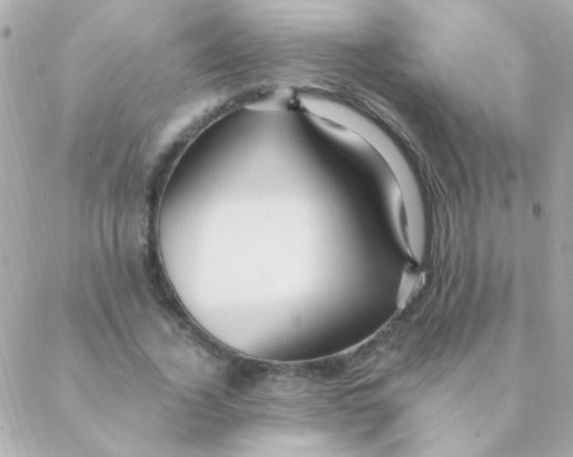 X0000088660732200706152032