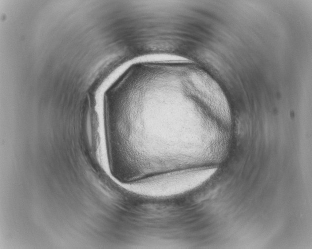 X0000088660733200706152032