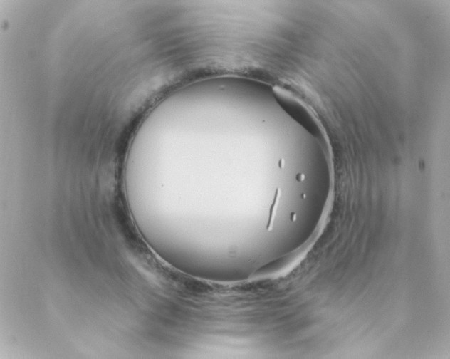 X0000088660736200706152032