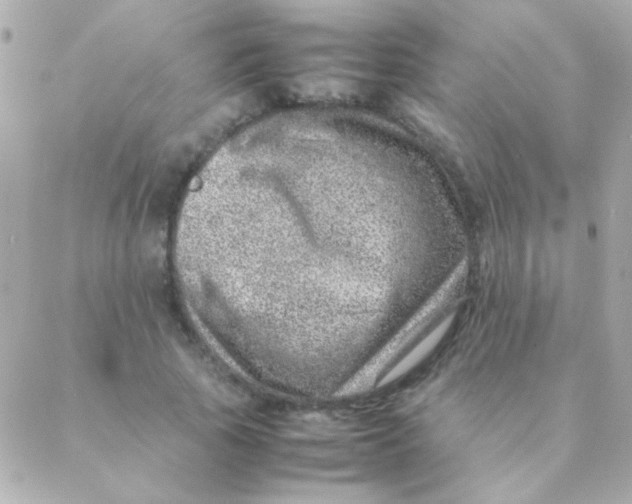 X0000088660737200706152032