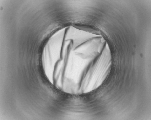 X0000088660738200706152032