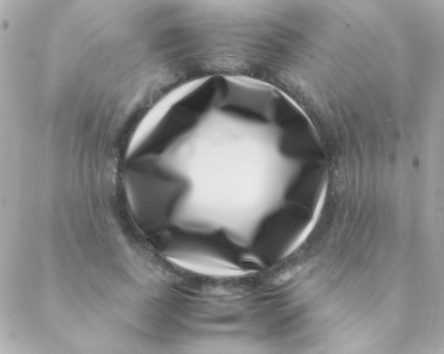 X0000088660739200706152032