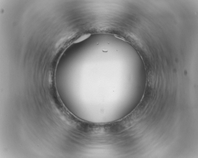 X0000088660740200706152032