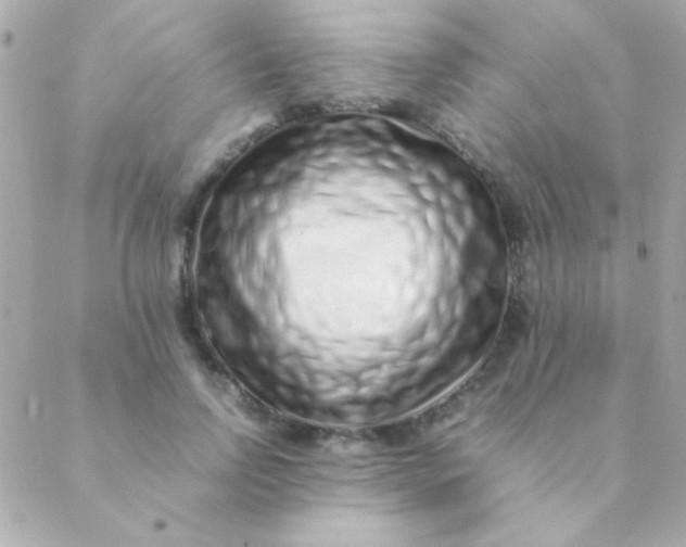 X0000088660742200706152032