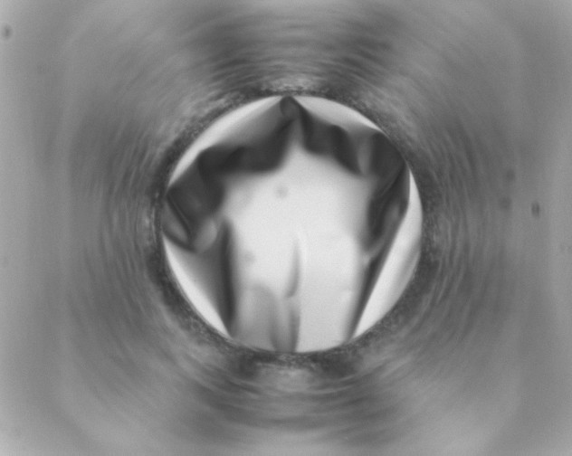 X0000088660743200706152032