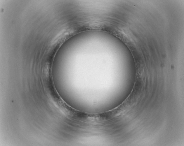 X0000088660744200706152032