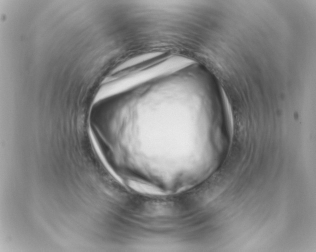 X0000088660745200706152032